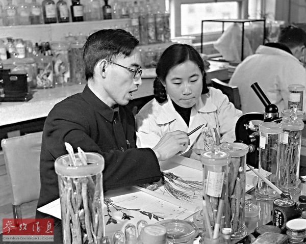 资料图：1950年代，屠呦呦（前右）与老师楼之岑副教授一起研究中药。（新华社）